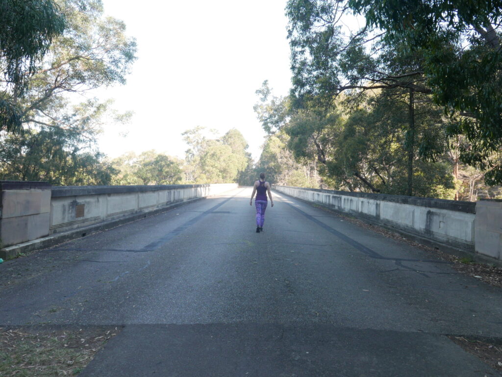 Bridge to Ascension and 5D