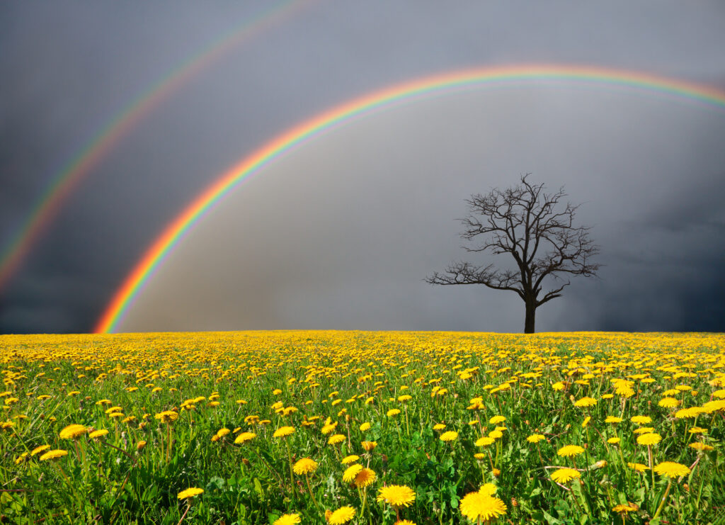 rainbow after the storm